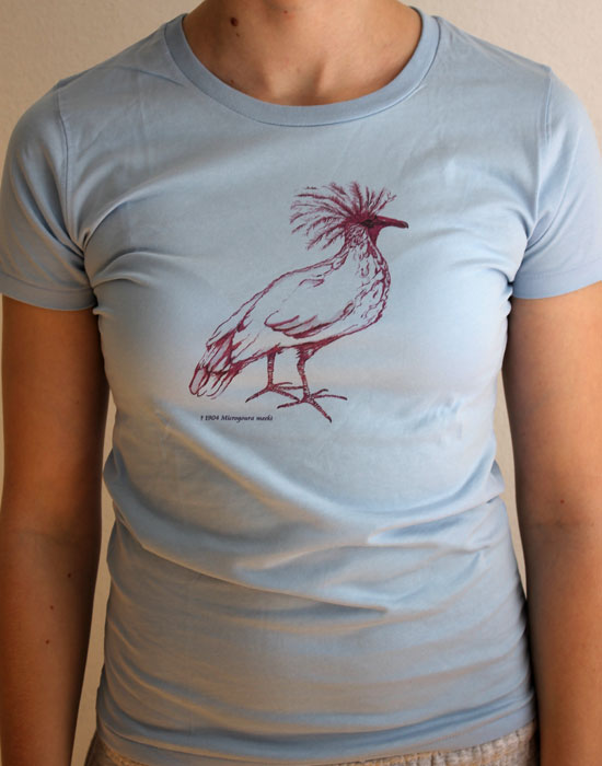 Pigeon blue,  t-shirt