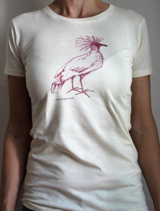 Pigeon ecru,  t-shirt